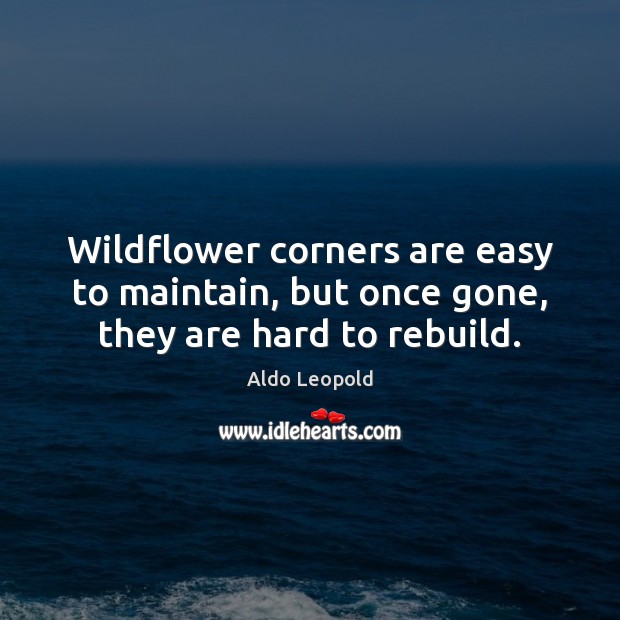 Wildflower corners are easy to maintain, but once gone, they are hard to rebuild. Aldo Leopold Picture Quote