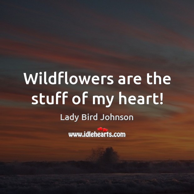 Wildflowers are the stuff of my heart! Lady Bird Johnson Picture Quote
