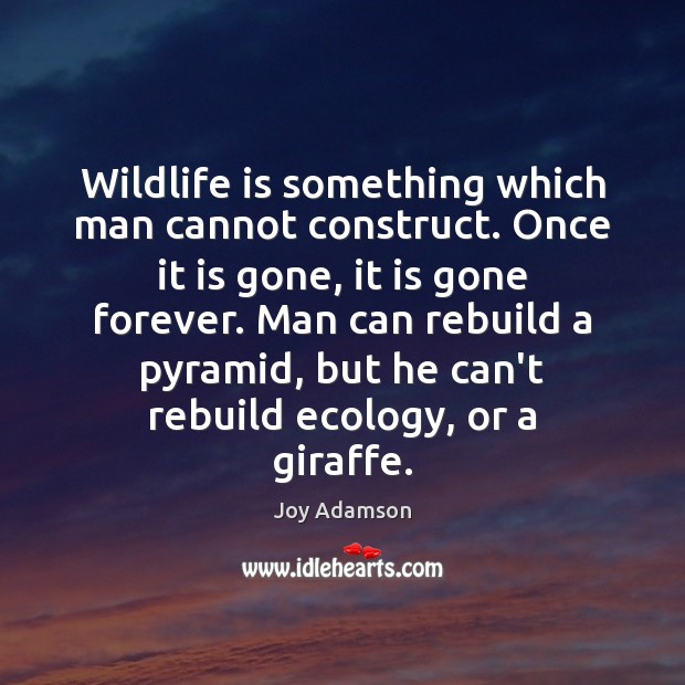Wildlife is something which man cannot construct. Once it is gone, it Joy Adamson Picture Quote