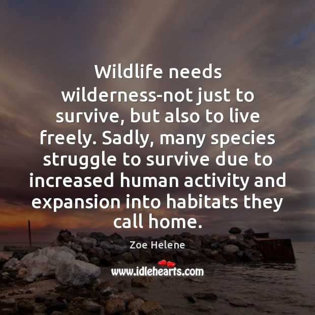 Wildlife needs wilderness-not just to survive, but also to live freely. Sadly, Image