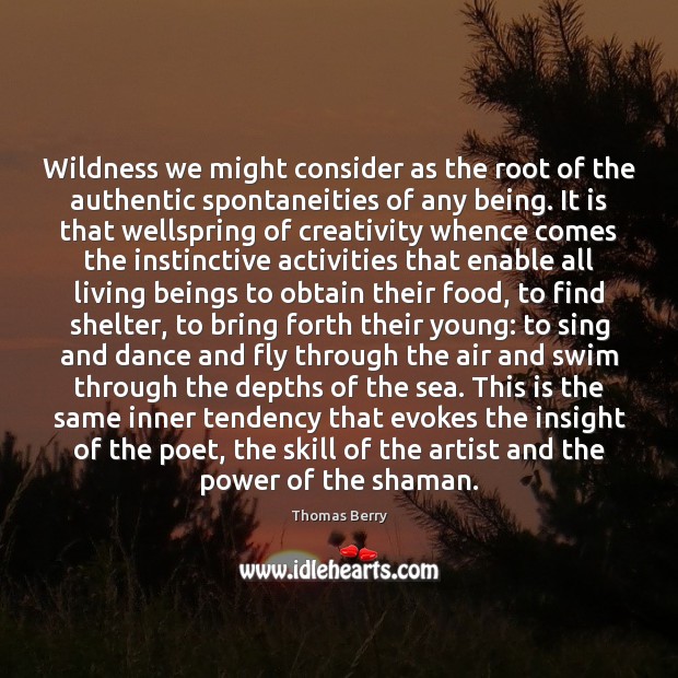 Wildness we might consider as the root of the authentic spontaneities of Thomas Berry Picture Quote