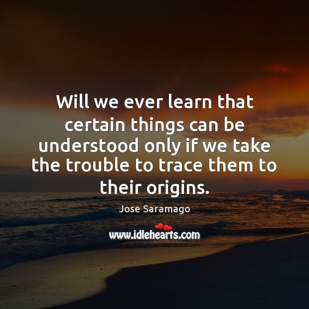 Will we ever learn that certain things can be understood only if Jose Saramago Picture Quote