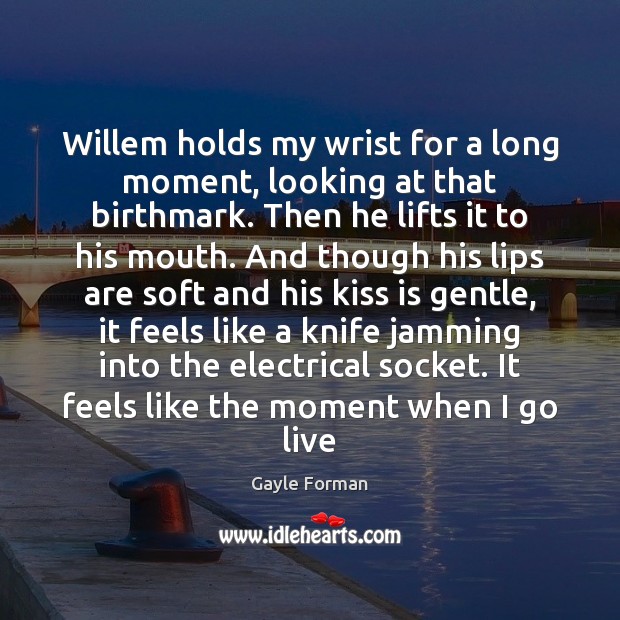 Willem holds my wrist for a long moment, looking at that birthmark. Gayle Forman Picture Quote