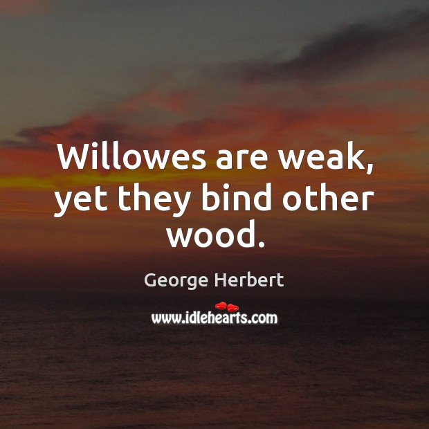 Willowes are weak, yet they bind other wood. George Herbert Picture Quote