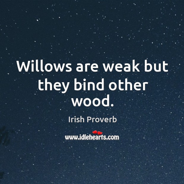 Willows are weak but they bind other wood. Irish Proverbs Image