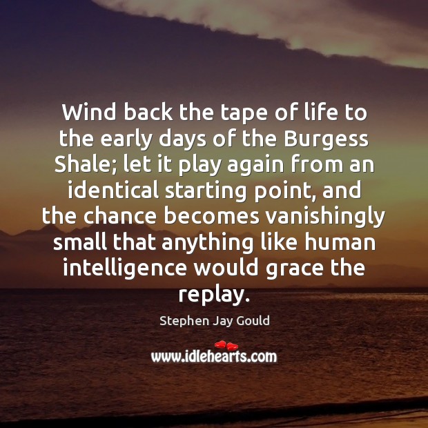 Wind back the tape of life to the early days of the Stephen Jay Gould Picture Quote