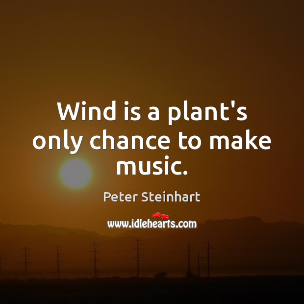 Wind is a plant’s only chance to make music. Peter Steinhart Picture Quote