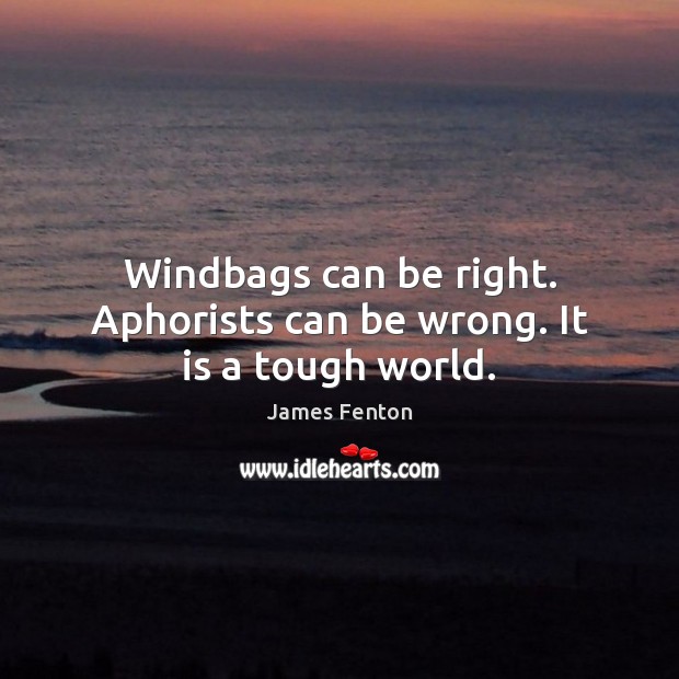 Windbags can be right. Aphorists can be wrong. It is a tough world. James Fenton Picture Quote