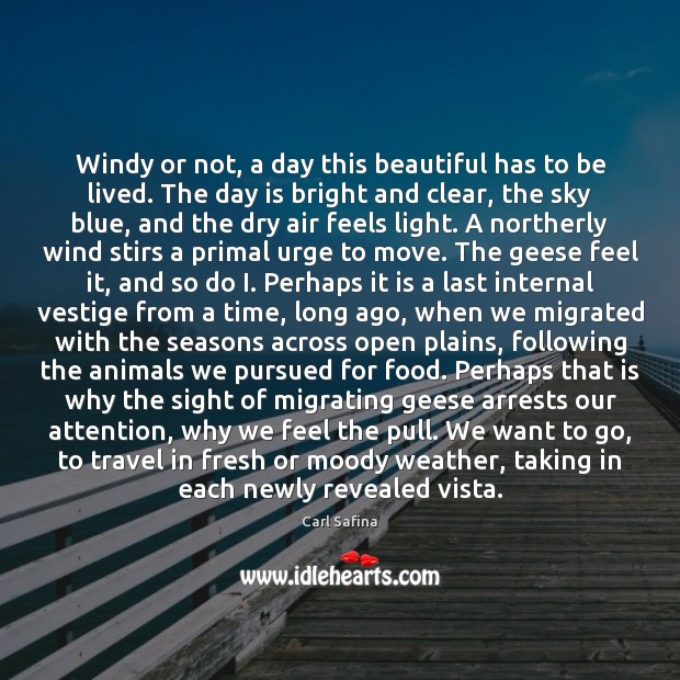 Windy or not, a day this beautiful has to be lived. The Image