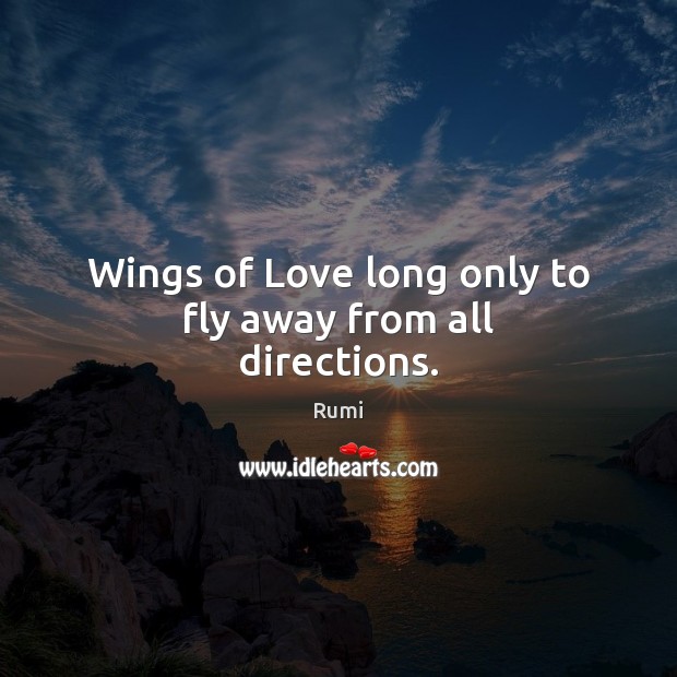 Wings of Love long only to fly away from all directions. Rumi Picture Quote