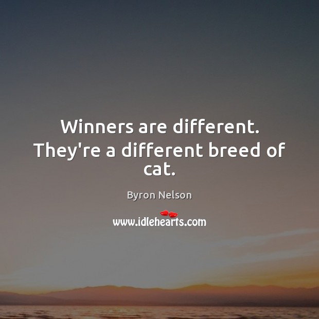 Winners are different. They’re a different breed of cat. Image