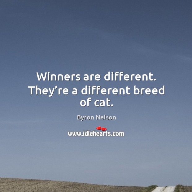 Winners are different. They’re a different breed of cat. Image