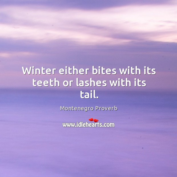 Winter either bites with its teeth or lashes with its tail. Montenegro Proverbs Image