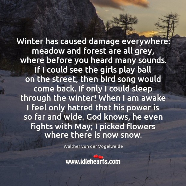 Winter has caused damage everywhere: meadow and forest are all grey, where Walther von der Vogelweide Picture Quote