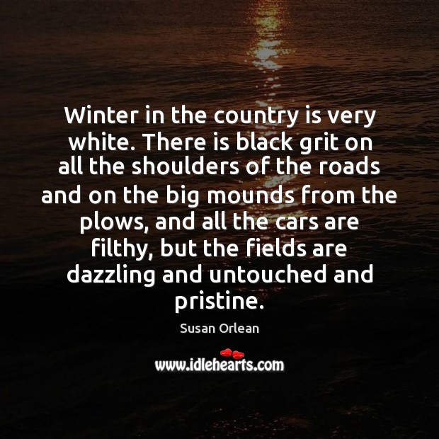Winter in the country is very white. There is black grit on Susan Orlean Picture Quote