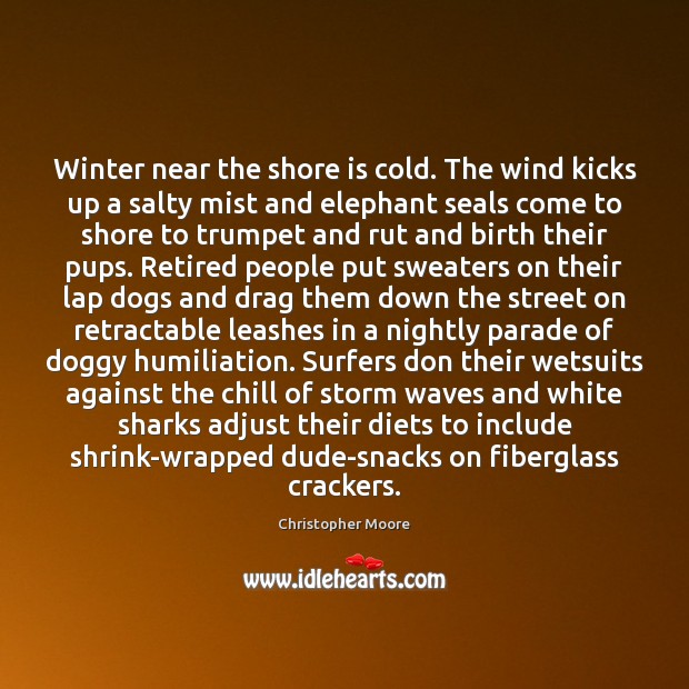Winter near the shore is cold. The wind kicks up a salty Christopher Moore Picture Quote