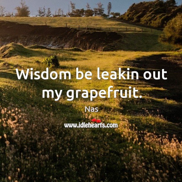 Wisdom be leakin out my grapefruit. Wisdom Quotes Image