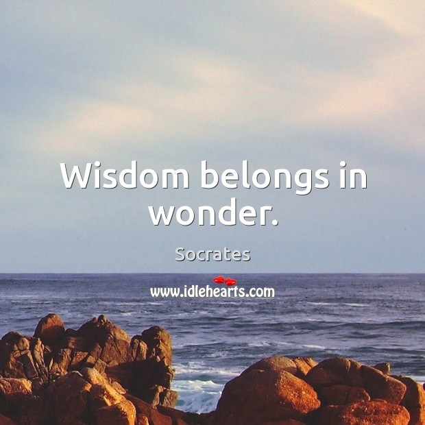 Wisdom belongs in wonder. Socrates Picture Quote