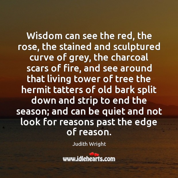 Wisdom can see the red, the rose, the stained and sculptured curve Judith Wright Picture Quote