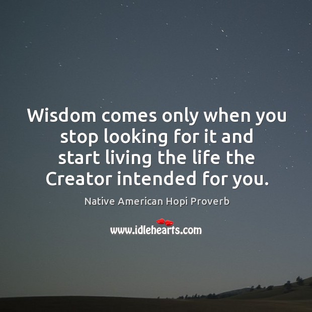 Wisdom comes only when you stop looking for it and start living the life the creator intended for you. Image