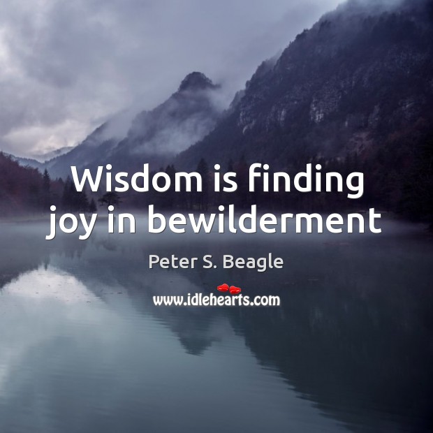 Wisdom is finding joy in bewilderment Peter S. Beagle Picture Quote
