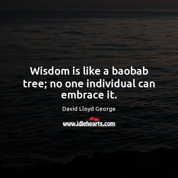 Wisdom is like a baobab tree; no one individual can embrace it. David Lloyd George Picture Quote