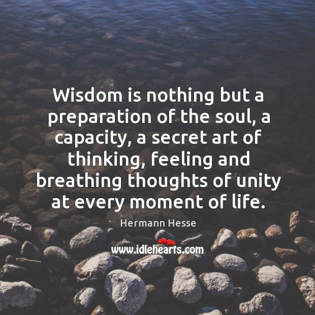 Wisdom is nothing but a preparation of the soul, a capacity, a secret art of thinking Image