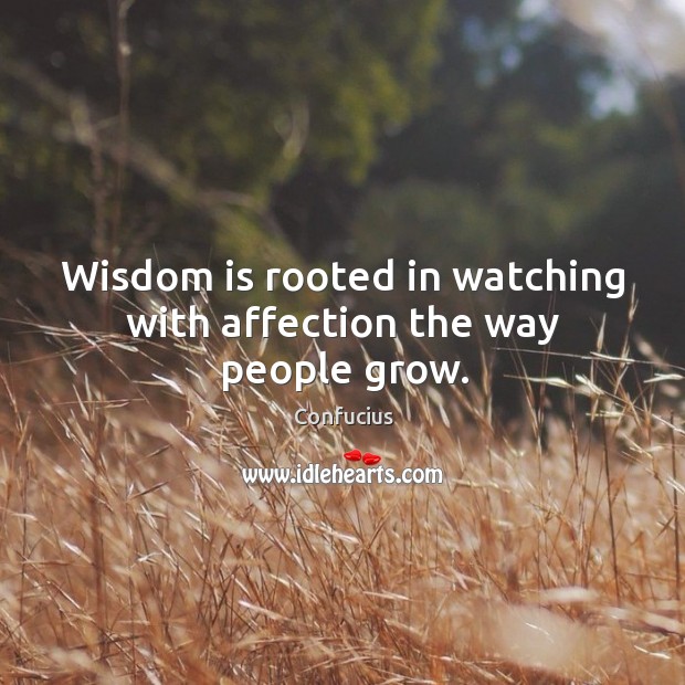 Wisdom is rooted in watching with affection the way people grow. Image