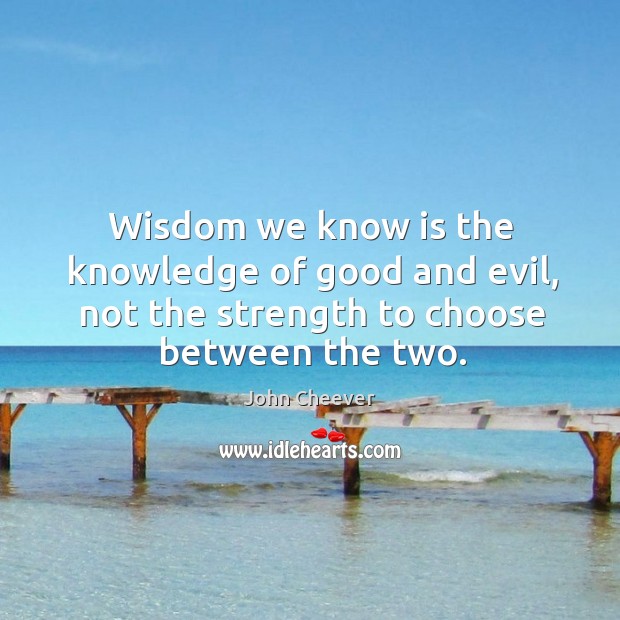 Wisdom we know is the knowledge of good and evil, not the strength to choose between the two. Wisdom Quotes Image