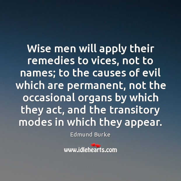 Wise men will apply their remedies to vices, not to names; to Edmund Burke Picture Quote
