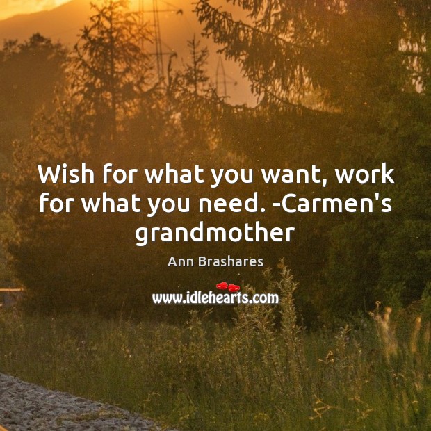 Wish for what you want, work for what you need. -Carmen’s grandmother Ann Brashares Picture Quote