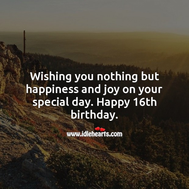 Wishing you nothing but happiness and joy on your special day. Sweet 16 Birthday Messages Image