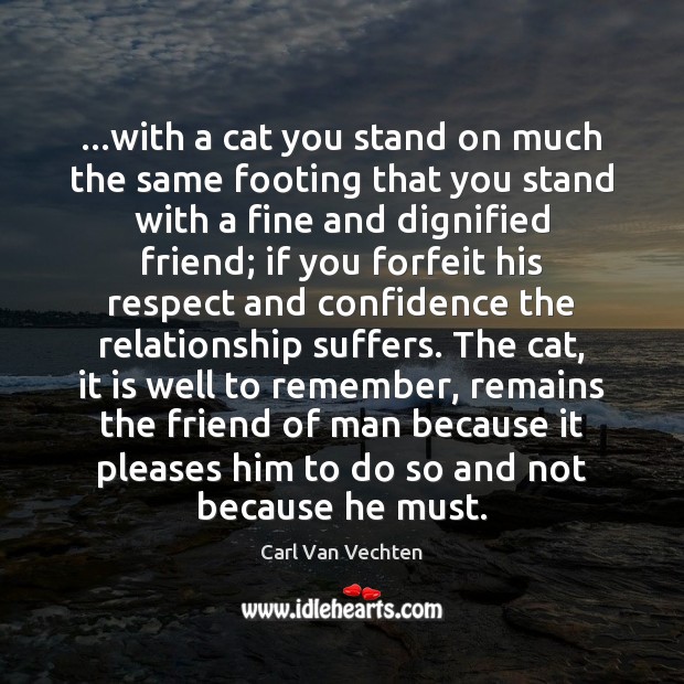…with a cat you stand on much the same footing that you Image