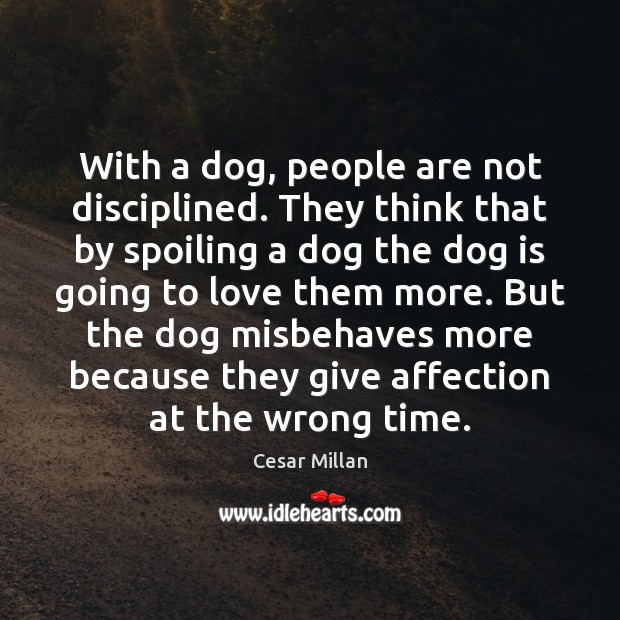 With a dog, people are not disciplined. They think that by spoiling Cesar Millan Picture Quote