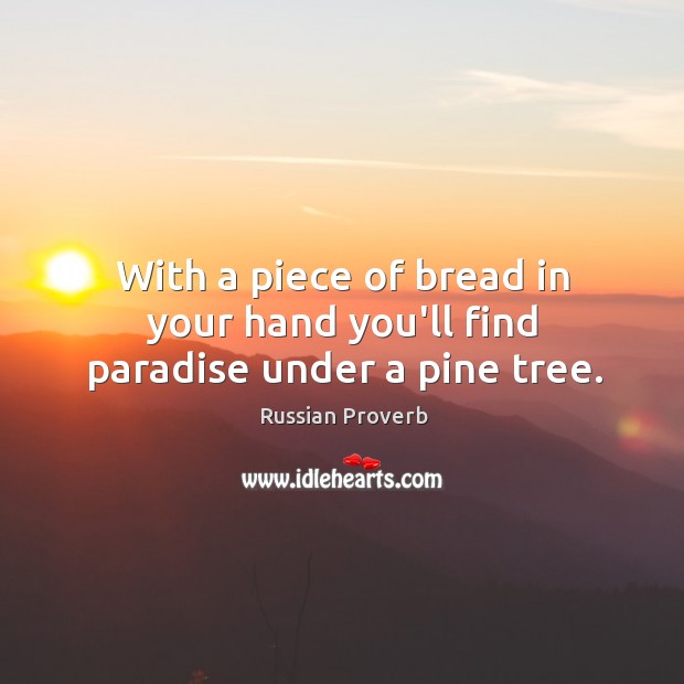 With a piece of bread in your hand you’ll find paradise under a pine tree. Image