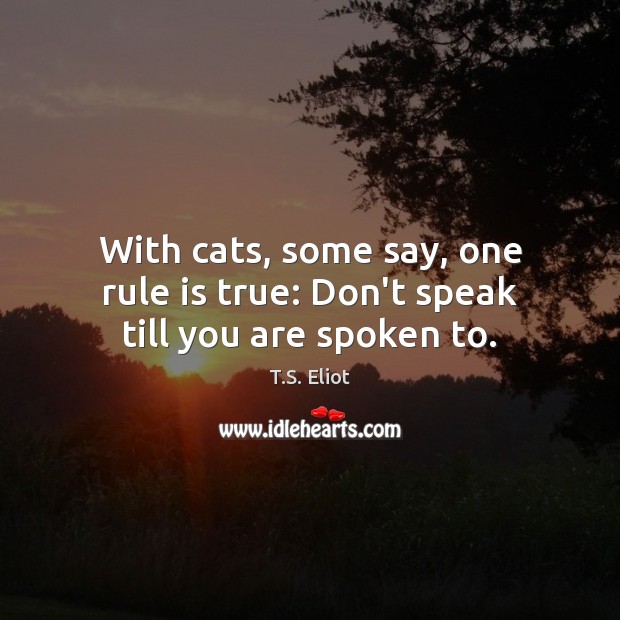 With cats, some say, one rule is true: Don’t speak till you are spoken to. T.S. Eliot Picture Quote