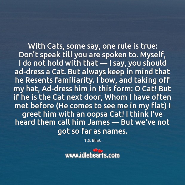 With Cats, some say, one rule is true: Don’t speak till Image