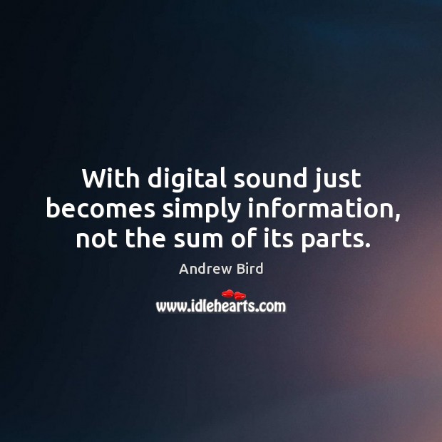 With digital sound just becomes simply information, not the sum of its parts. Andrew Bird Picture Quote