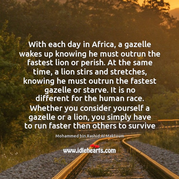 With each day in Africa, a gazelle wakes up knowing he must Image