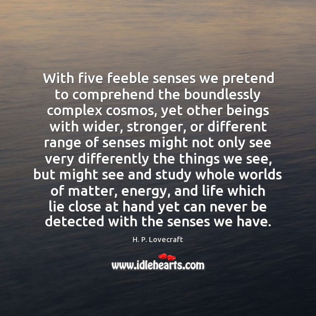 With five feeble senses we pretend to comprehend the boundlessly complex cosmos, Image