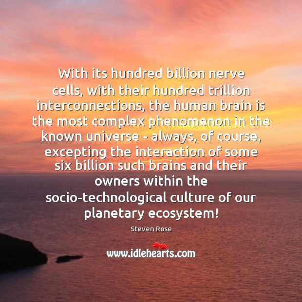 With its hundred billion nerve cells, with their hundred trillion interconnections, the Image