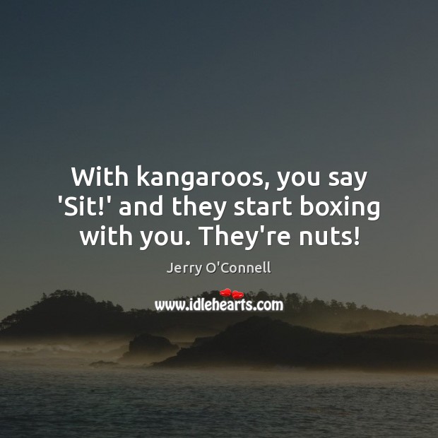 With kangaroos, you say ‘Sit!’ and they start boxing with you. They’re nuts! Jerry O’Connell Picture Quote