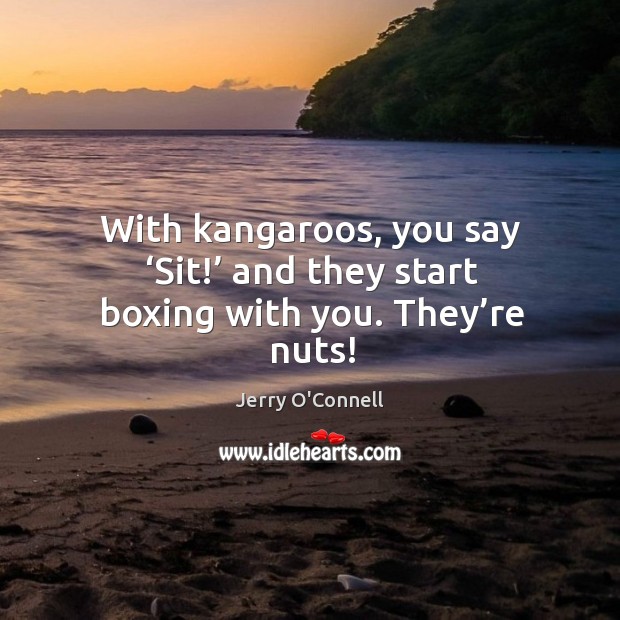 With kangaroos, you say ‘sit!’ and they start boxing with you. They’re nuts! Jerry O’Connell Picture Quote