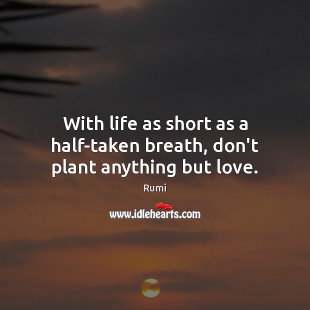 With life as short as a half-taken breath, don’t plant anything but love. Image