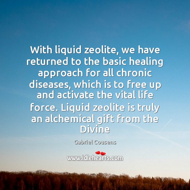 With liquid zeolite, we have returned to the basic healing approach for Gabriel Cousens Picture Quote