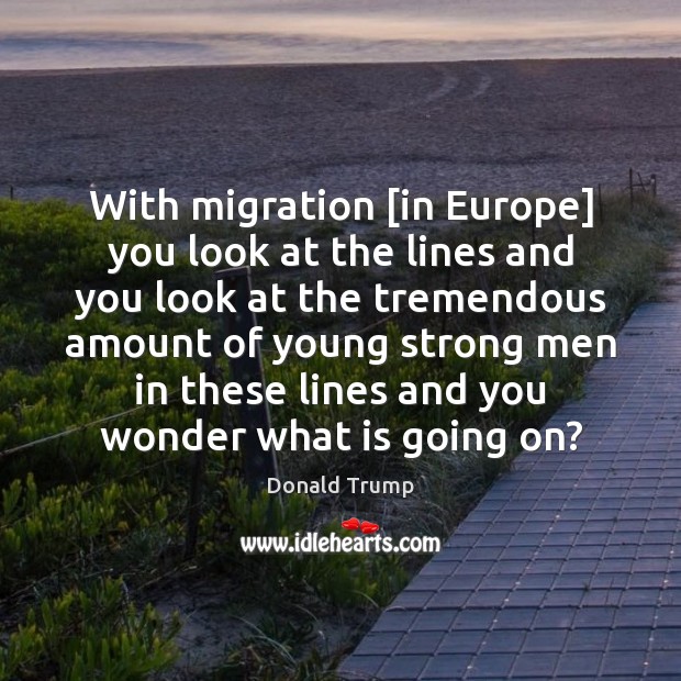With migration [in Europe] you look at the lines and you look Men Quotes Image