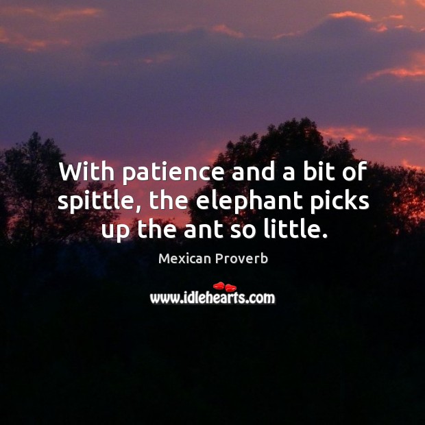 With patience and a bit of spittle, the elephant picks up the ant so little. Mexican Proverbs Image