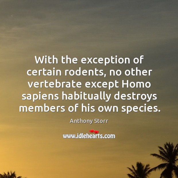 With the exception of certain rodents, no other vertebrate except homo sapiens Anthony Storr Picture Quote