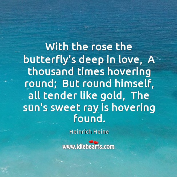 With the rose the butterfly’s deep in love,  A thousand times hovering Image