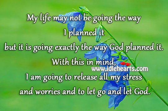 My life is going exactly the way God planned. Image